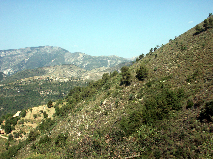 2004-07 Lucéram 003.jpg - DCF 1.0
